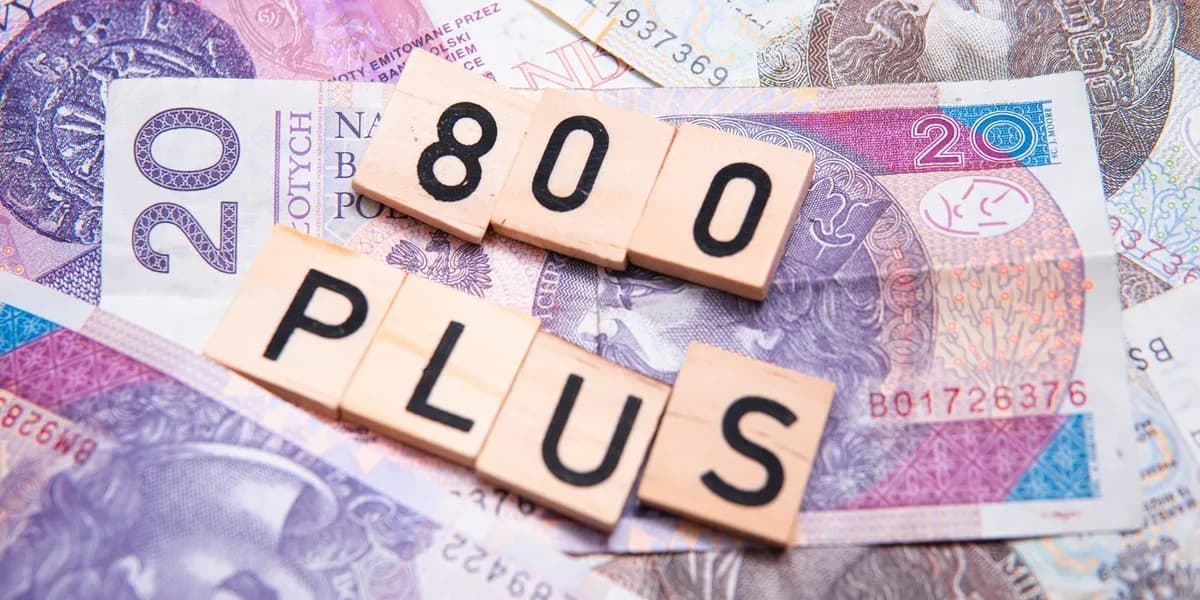 800 plus: Jak dostać 800 zł? Wniosek, warunki, terminy. Poradnik