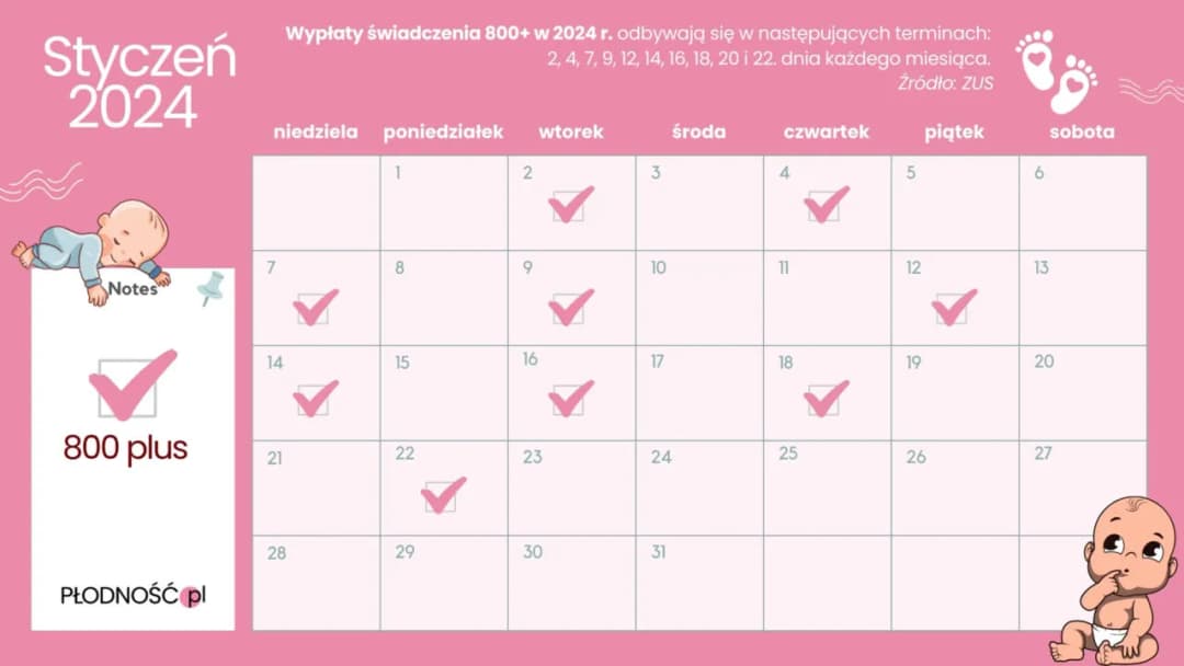 800 plus: Zasady, terminy i czy będzie waloryzacja?