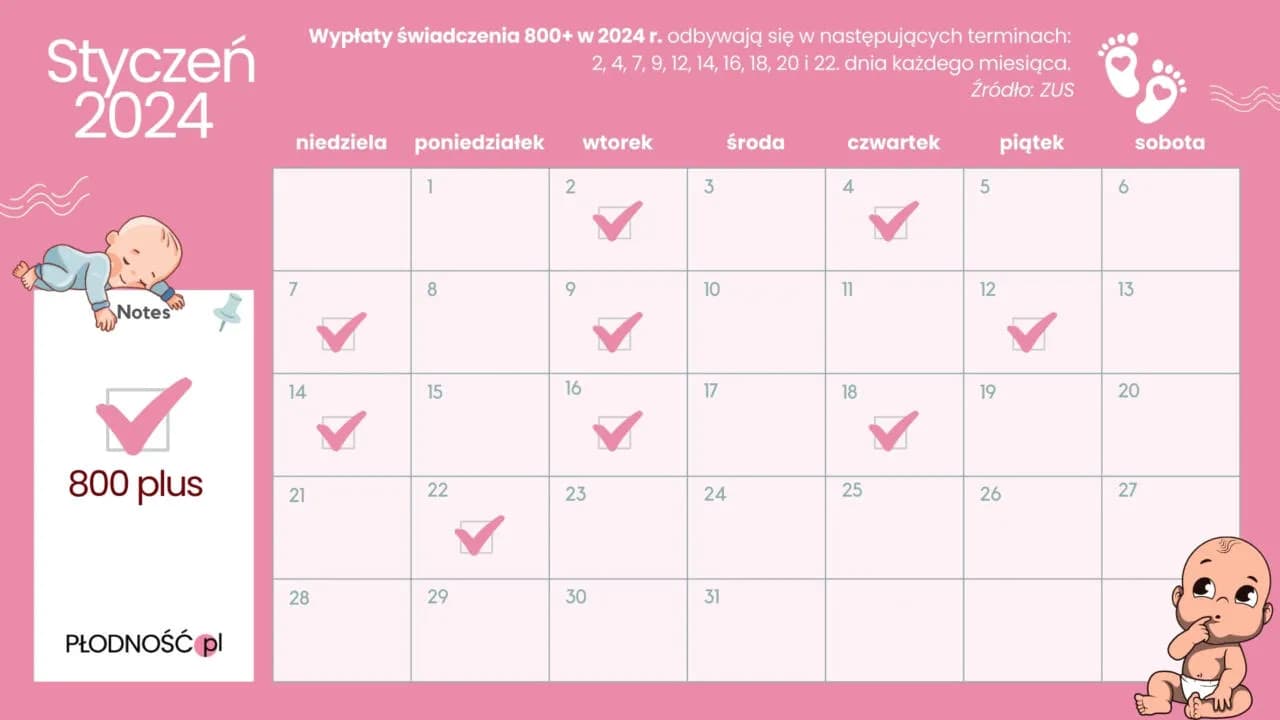 800 plus: Zasady, terminy i czy będzie waloryzacja?