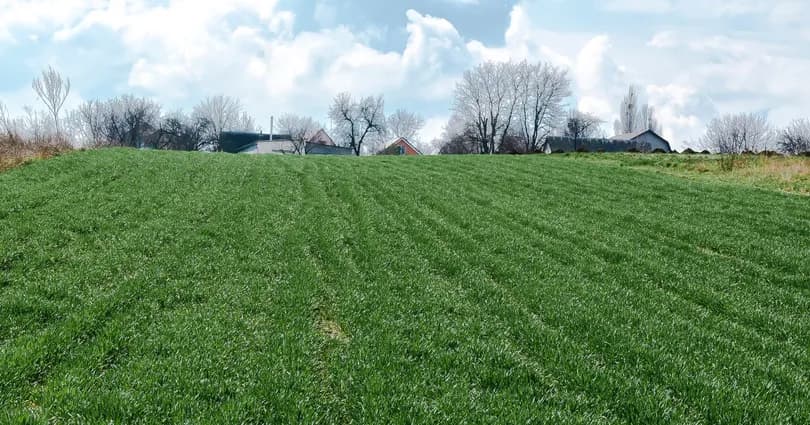 Działka jako wkład własny do kredytu - sprawdź możliwości